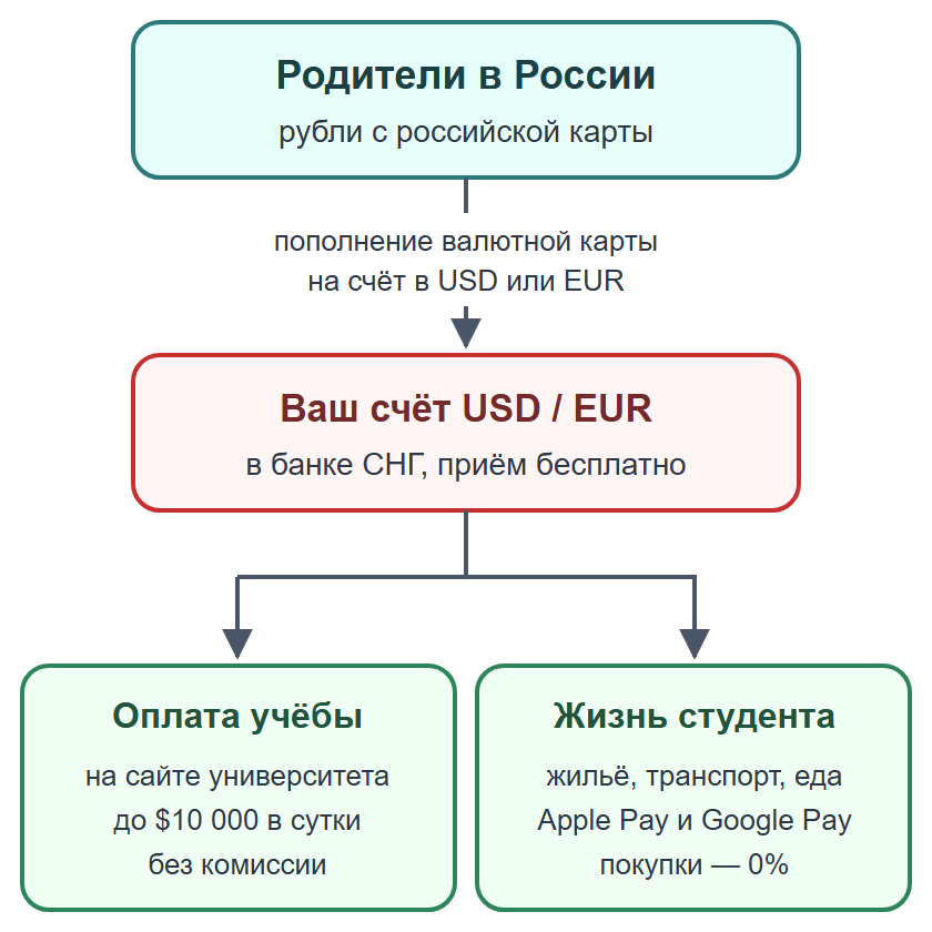 Схема: родители пополняют валютную карту рублями и оплачивают обучение на сайте университета