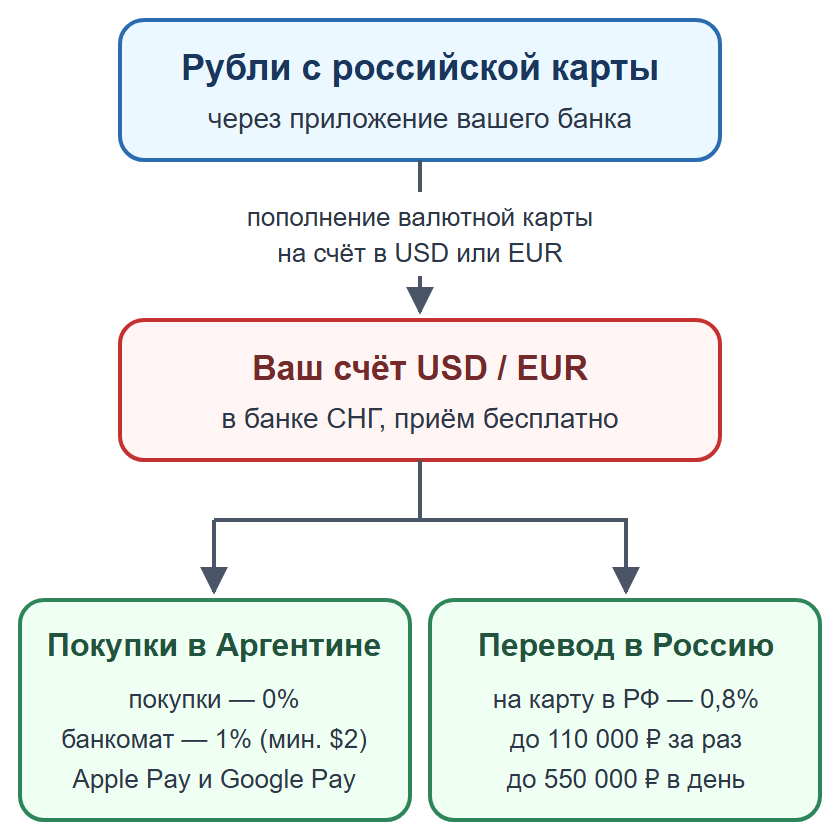 Схема: пополнение валютной карты банка СНГ рублями, оплата в Аргентине без местного счёта и перевод на карту в России