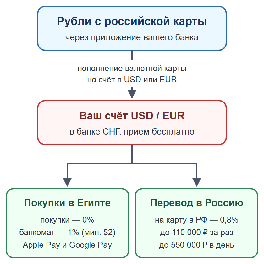 Схема: пополнение валютной карты банка СНГ рублями, оплата в Египте без египетского счёта и перевод на карту в России
