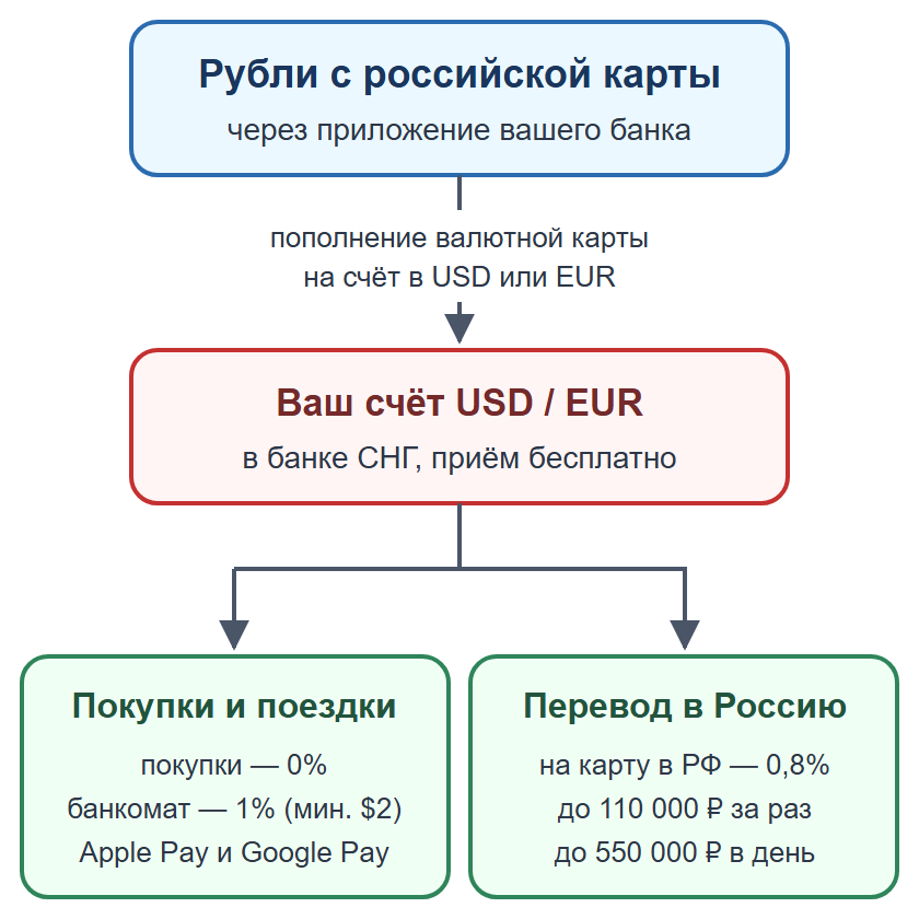 Схема: пополнение валютного счёта в банке СНГ рублями без поездки в Грузию, оплата картой и перевод на карту в России