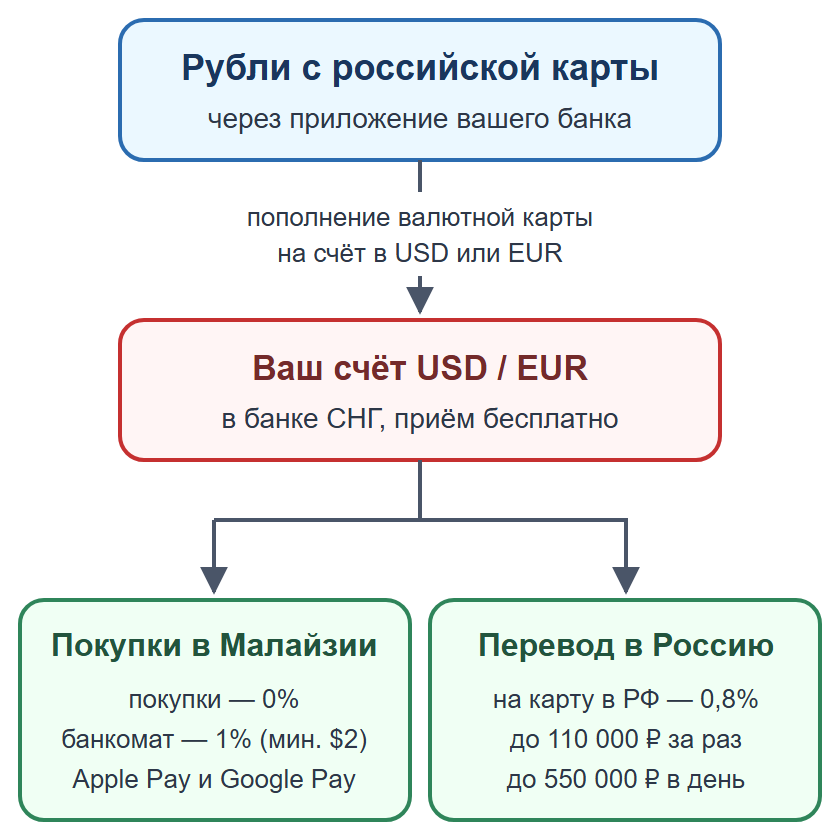 Схема: пополнение валютной карты банка СНГ рублями, оплата в Малайзии без малайзийского счёта и перевод на карту в России