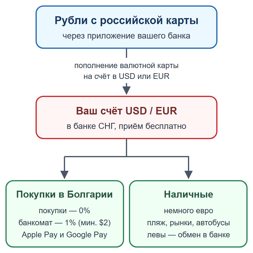Схема: пополнение валютной карты рублями, оплата картой и телефоном, наличные на мелкие расходы