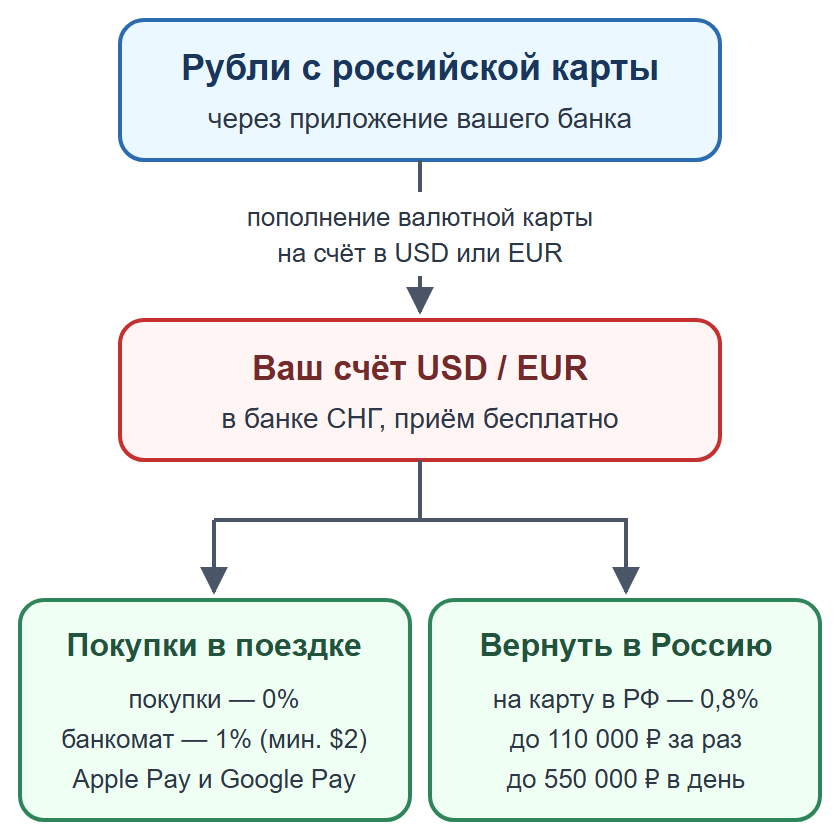 Схема: деньги на валютной карте вместо наличных — пополнение рублями, оплата в поездке и перевод обратно на российскую карту