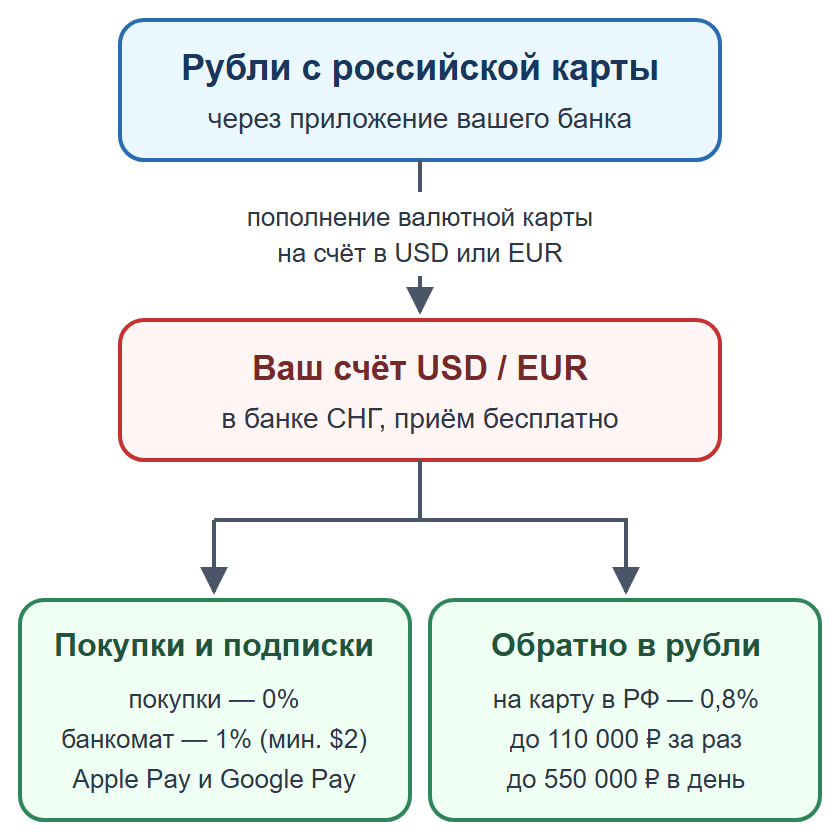 Схема: пополнение валютной карты рублями, покупки без комиссии и перевод обратно на российскую карту за 0,8%