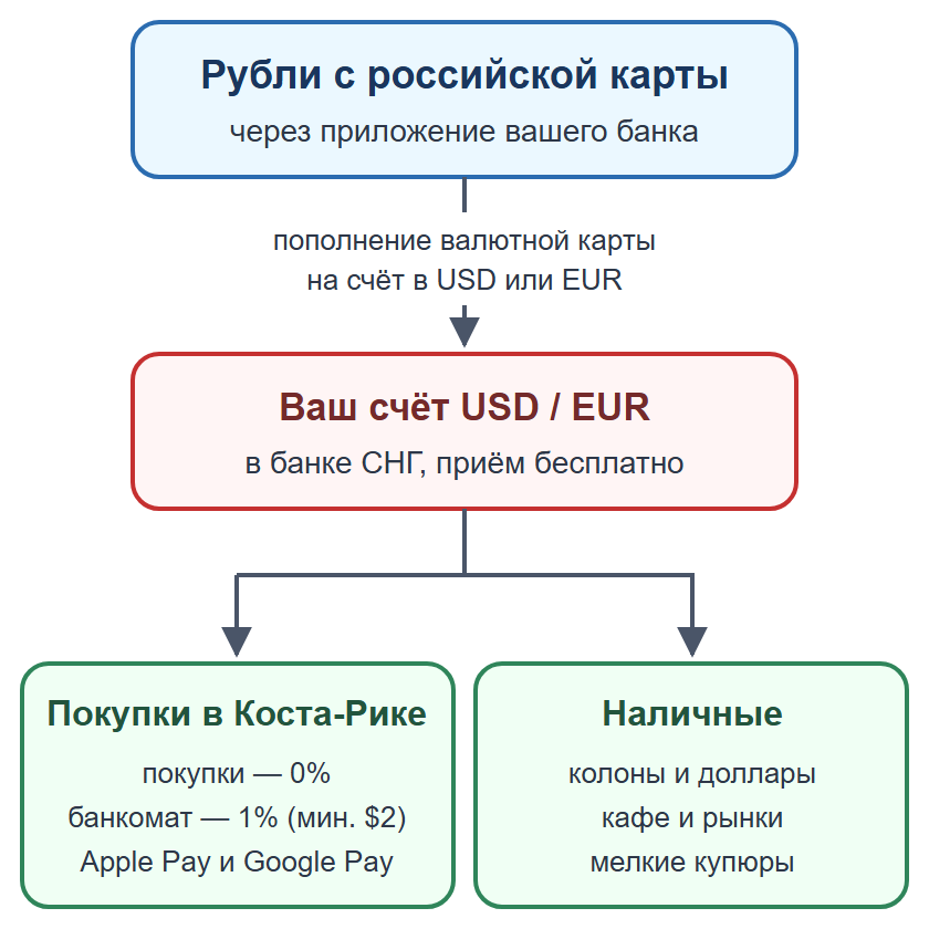 Схема: пополнение валютной карты рублями, оплата картой и телефоном, наличные на мелкие расходы