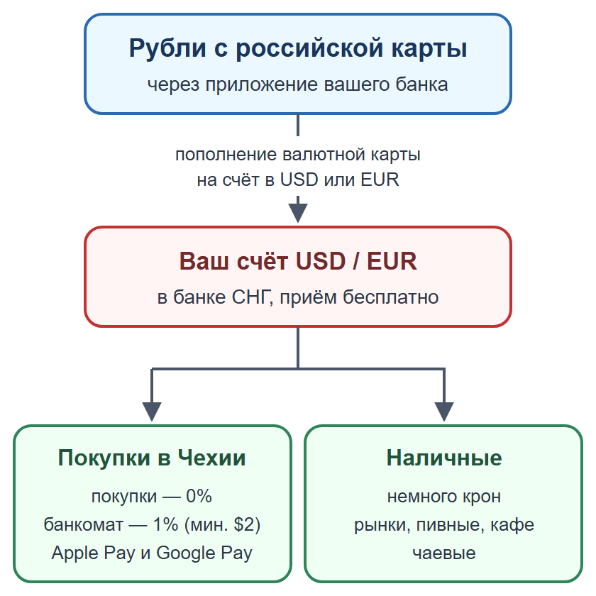 Схема: пополнение валютной карты рублями, оплата картой и телефоном, наличные на мелкие расходы