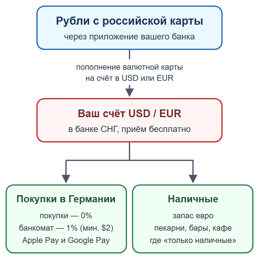 Схема: пополнение валютной карты рублями, оплата картой и телефоном, наличные на мелкие расходы