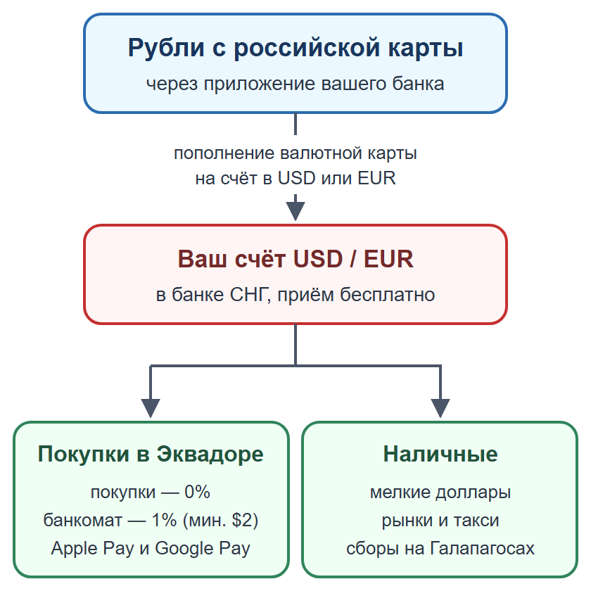 Схема: пополнение валютной карты рублями, оплата картой и телефоном, наличные на мелкие расходы