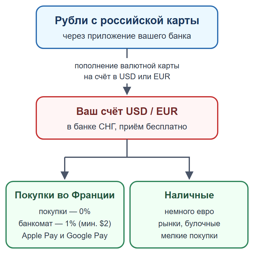 Схема: пополнение валютной карты рублями, оплата картой и телефоном, наличные на мелкие расходы
