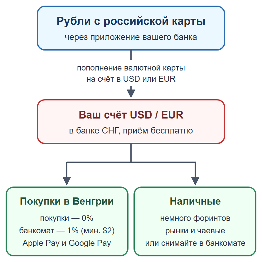 Схема: пополнение валютной карты рублями, оплата картой и телефоном, наличные на мелкие расходы