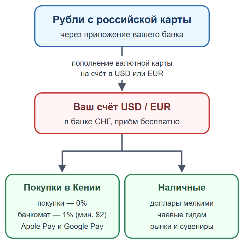 Схема: пополнение валютной карты рублями, оплата картой и телефоном, наличные на мелкие расходы