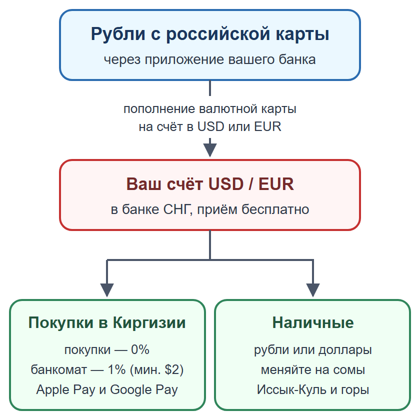 Схема: пополнение валютной карты рублями, оплата картой и телефоном, наличные на мелкие расходы