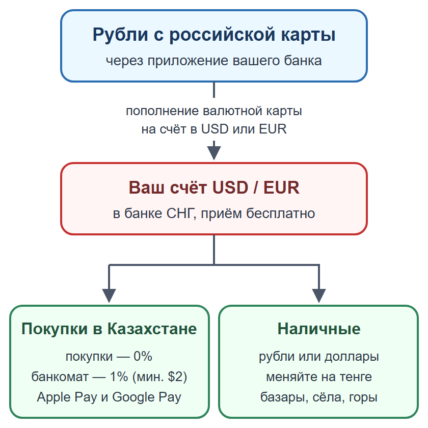 Схема: пополнение валютной карты рублями, оплата картой и телефоном, наличные на мелкие расходы