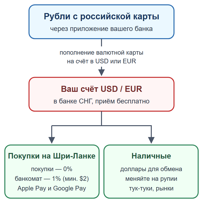 Схема: пополнение валютной карты рублями, оплата картой и телефоном, наличные на мелкие расходы