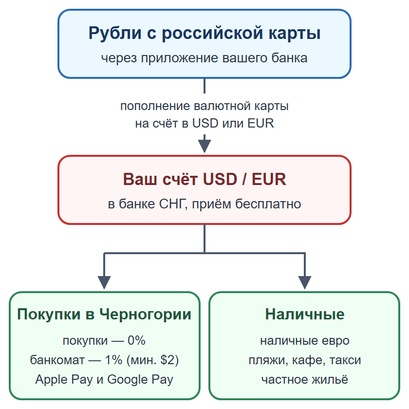 Схема: пополнение валютной карты рублями, оплата картой и телефоном, наличные на мелкие расходы