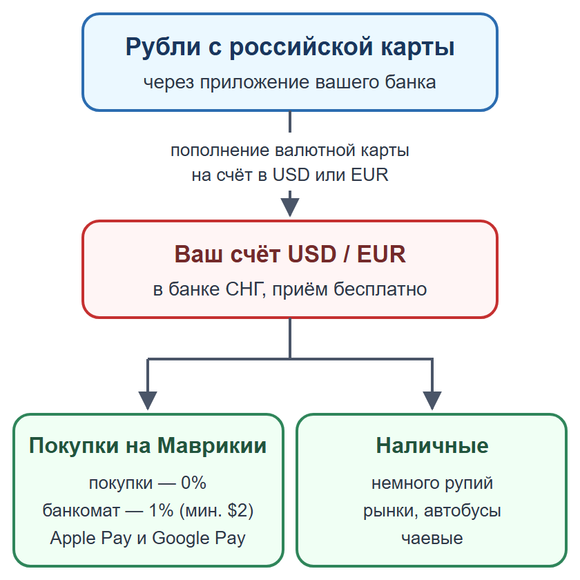 Схема: пополнение валютной карты рублями, оплата картой и телефоном, наличные на мелкие расходы