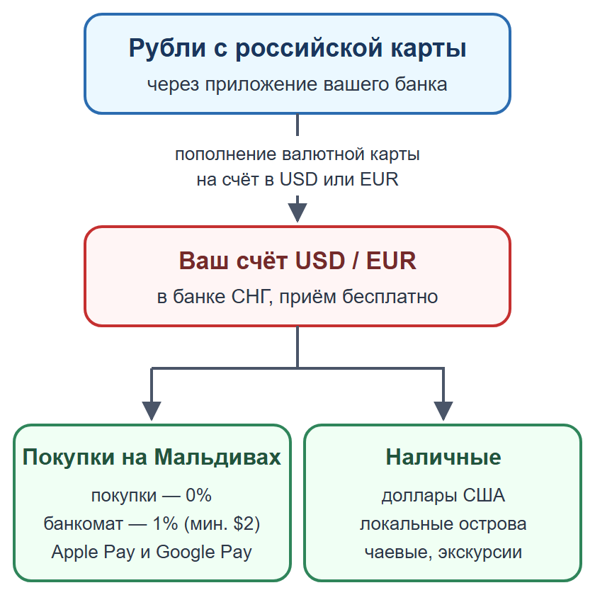 Схема: пополнение валютной карты рублями, оплата картой и телефоном, наличные на мелкие расходы