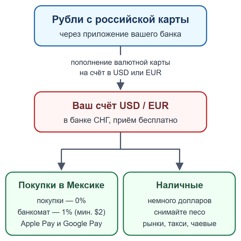Схема: пополнение валютной карты рублями, оплата картой и телефоном, наличные на мелкие расходы