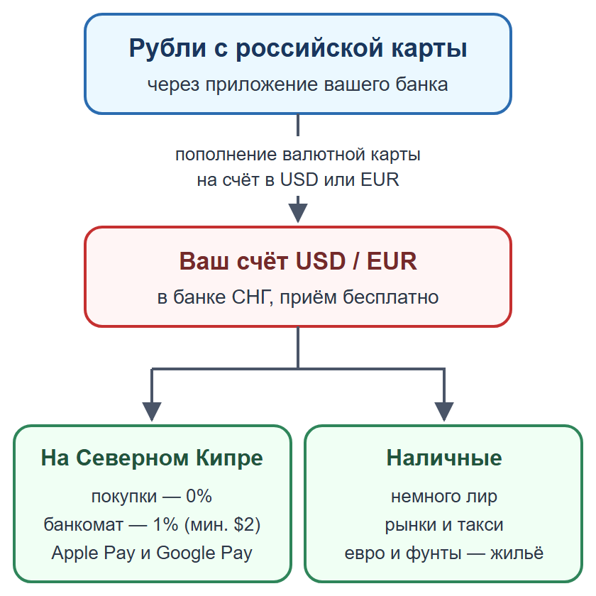 Схема: пополнение валютной карты рублями, оплата картой и телефоном, наличные на мелкие расходы