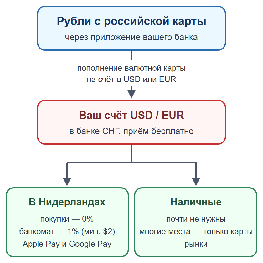 Схема: пополнение валютной карты рублями, оплата картой и телефоном, наличные на мелкие расходы