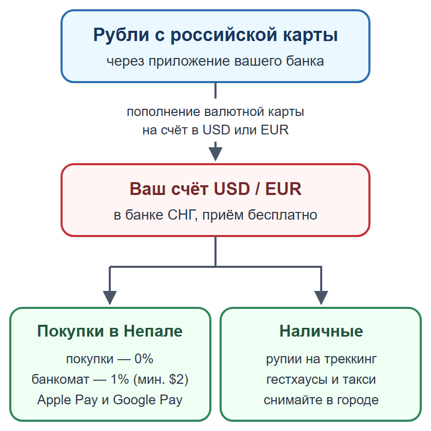 Схема: пополнение валютной карты рублями, оплата картой и телефоном, наличные на мелкие расходы