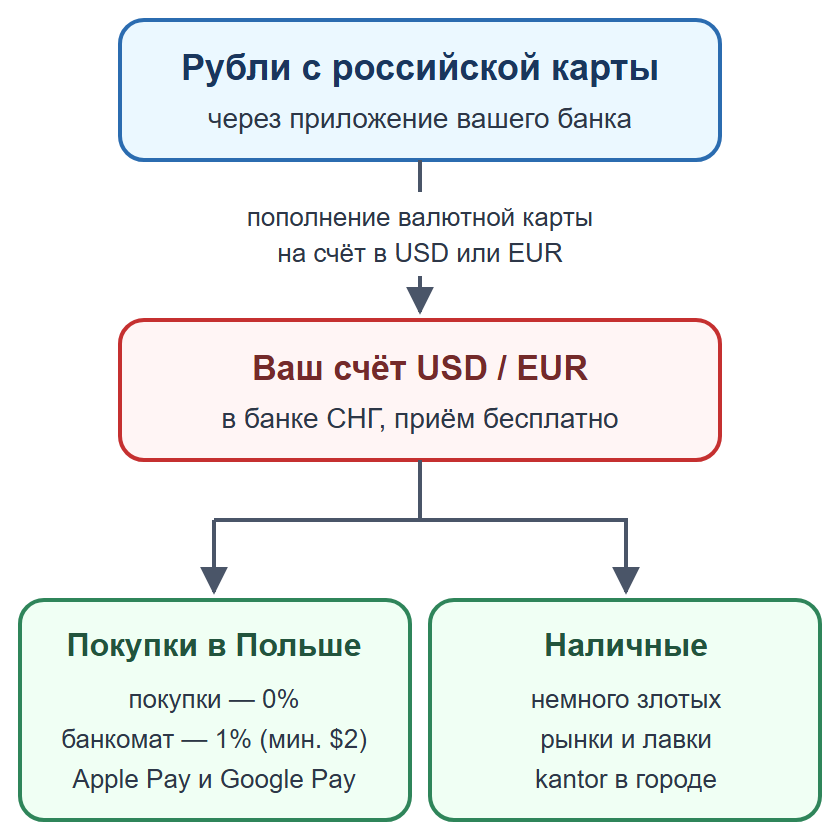 Схема: пополнение валютной карты рублями, оплата картой и телефоном, наличные на мелкие расходы