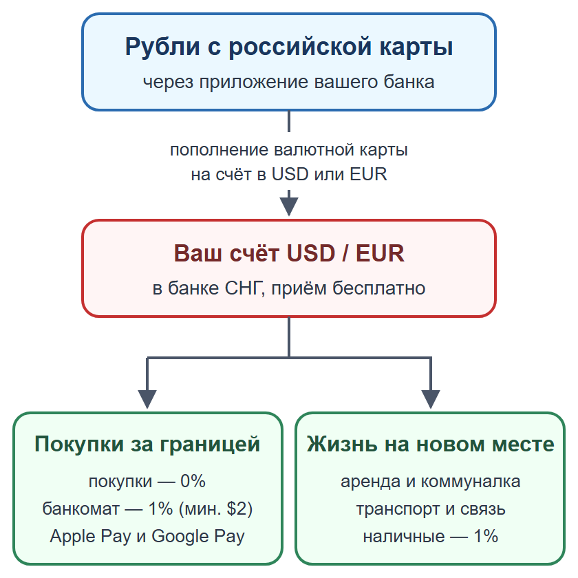 Схема: рубли с российской карты пополняют валютную карту, которой платят за жизнь за границей