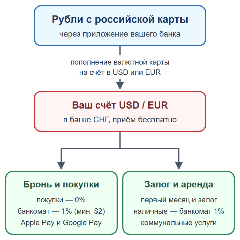 Схема: пополнение валютной карты рублями, оплата брони жилья картой и снятие наличных на залог и аренду