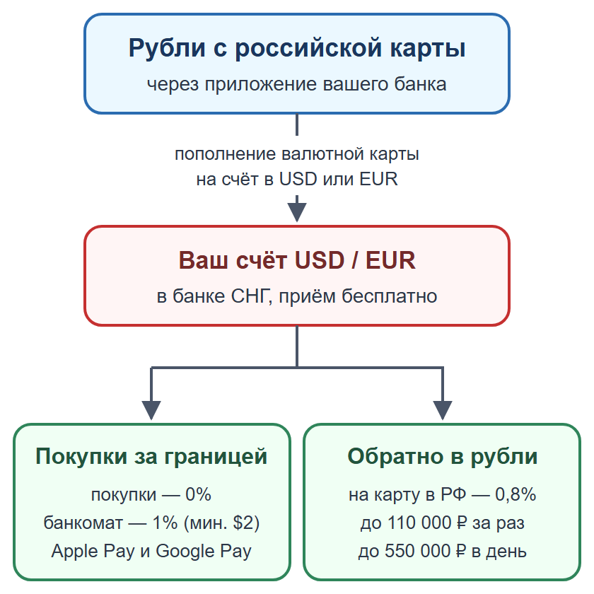 Схема: пополнение валютной карты рублями, покупки за границей без комиссии и перевод обратно на российскую карту за 0,8%