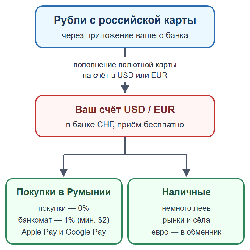 Схема: пополнение валютной карты рублями, оплата картой и телефоном, наличные на мелкие расходы