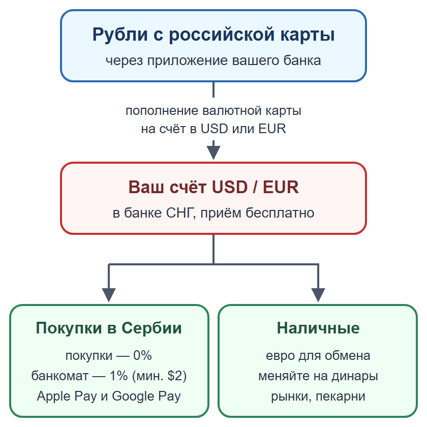 Схема: пополнение валютной карты рублями, оплата картой и телефоном, наличные на мелкие расходы