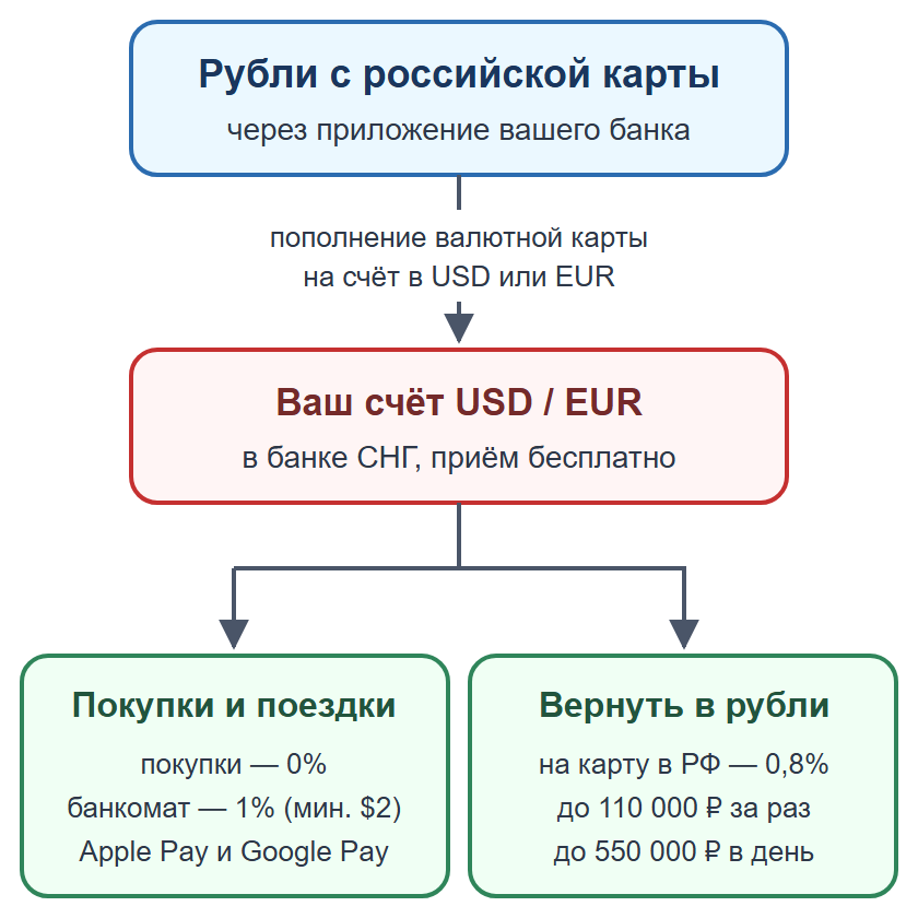 Схема: пополнение валютного счёта рублями, оплата картой в поездках и перевод обратно на российскую карту