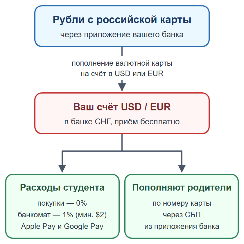 Схема: родители пополняют валютную карту студента рублями из России, студент платит картой за границей