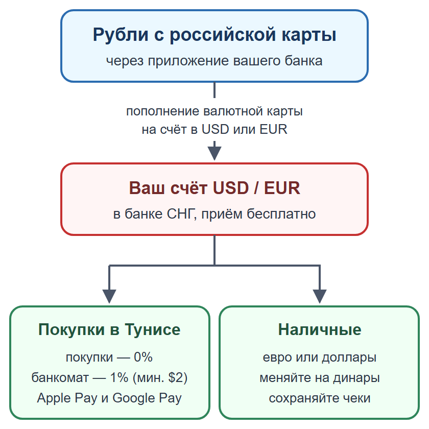Схема: пополнение валютной карты рублями, оплата картой и телефоном, наличные на мелкие расходы