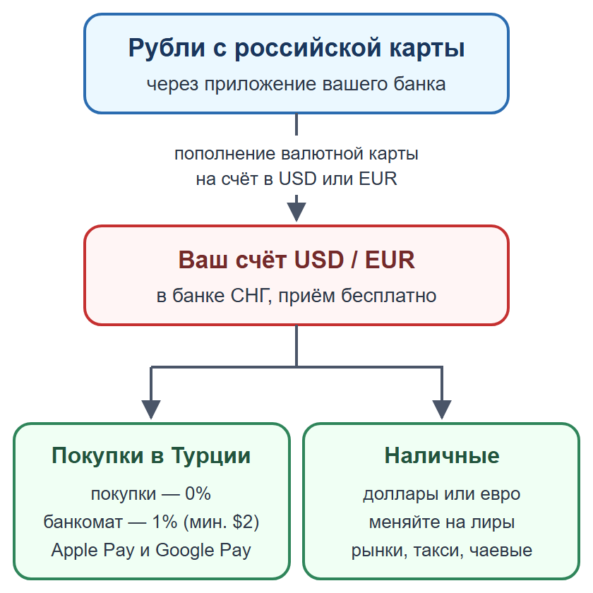 Схема: пополнение валютной карты рублями, оплата картой и телефоном, наличные на мелкие расходы