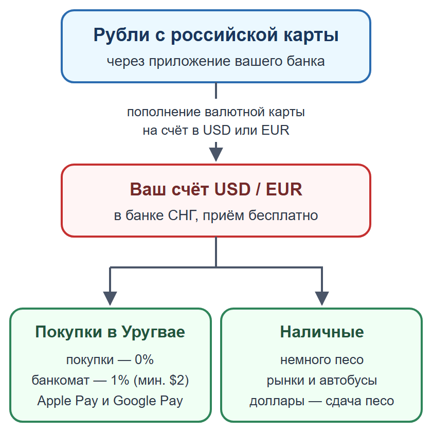 Схема: пополнение валютной карты рублями, оплата картой и телефоном, наличные на мелкие расходы