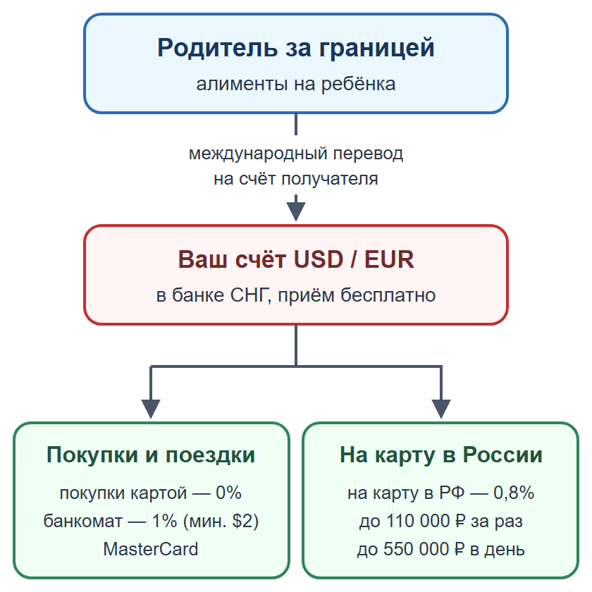 Схема: алименты из-за границы приходят на валютный счёт в банке СНГ, затем покупки или перевод на карту в России