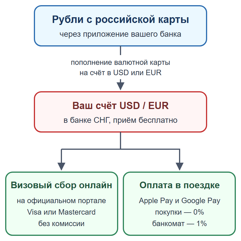 Схема: пополнение валютной карты рублями и оплата визового сбора на официальном портале
